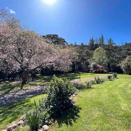 Coromandel Secluded Log Cabin Retreat Hikuai Dış mekan fotoğraf