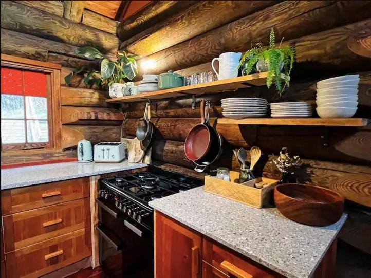 Coromandel Secluded Log Cabin Retreat Hikuai Dış mekan fotoğraf