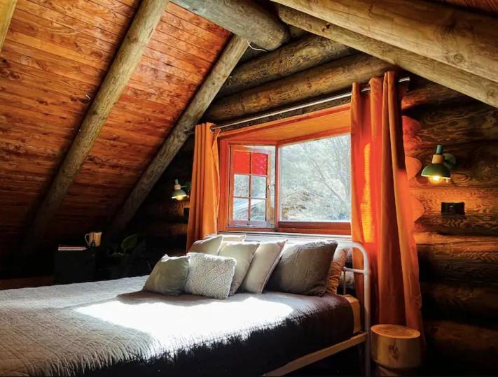 Coromandel Secluded Log Cabin Retreat Hikuai Dış mekan fotoğraf