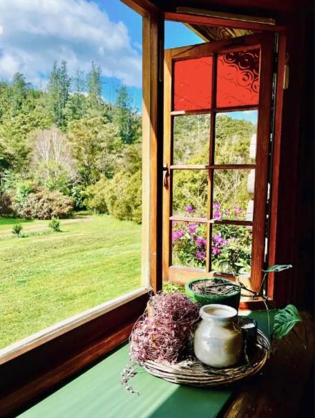 Coromandel Secluded Log Cabin Retreat Hikuai Dış mekan fotoğraf