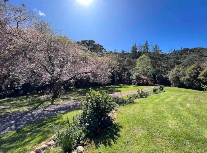 Coromandel Secluded Log Cabin Retreat Hikuai Dış mekan fotoğraf